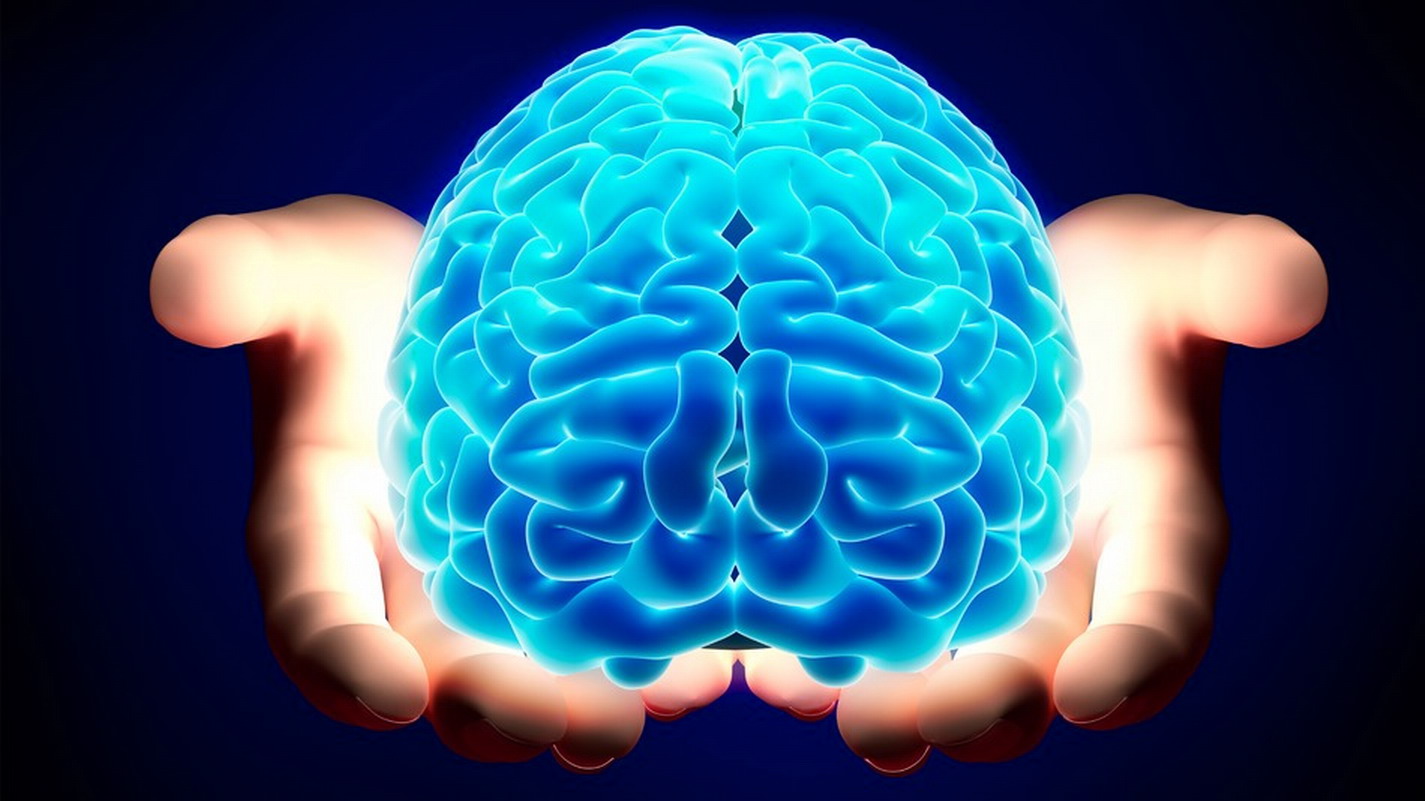 BRAIN-HANDS.jpg BRAIN-HANDS.jpg