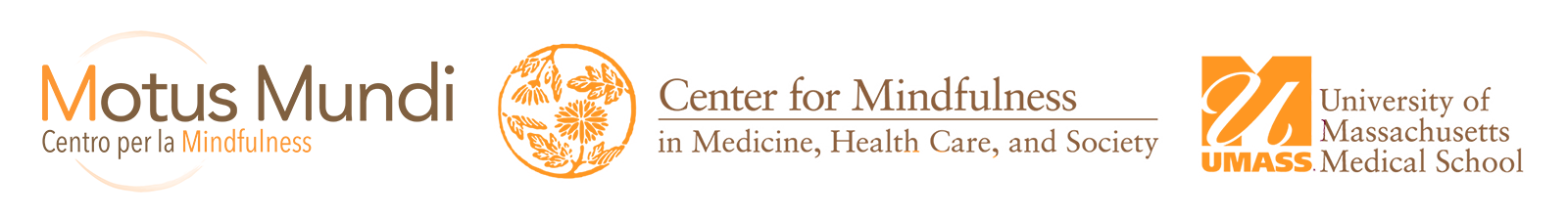 Logo_CFM_TRASPARENTE.png Logo_CFM_TRASPARENTE.png