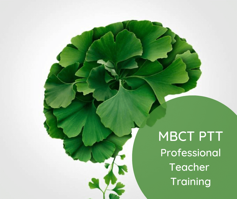 MBCT_PTT_Professional_Teacher_Training_(1).png