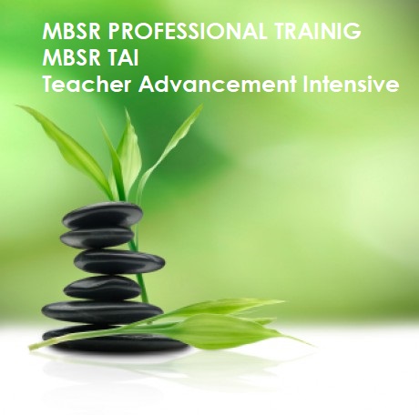 MBSR_TAI_2020.jpg MBSR_TAI_2020.jpg