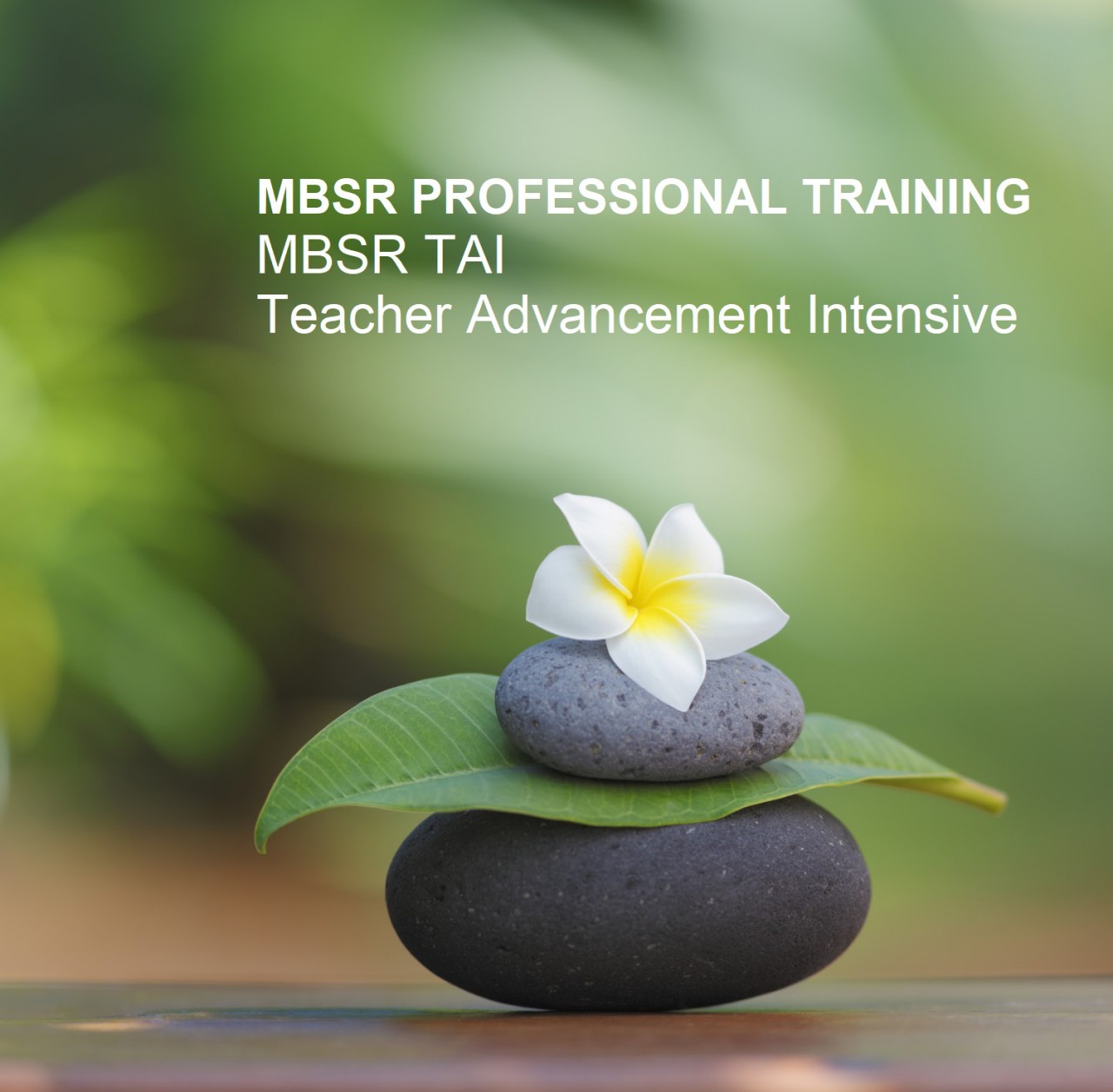 MBSR_TRAINING_TAI_2.jpg MBSR_TRAINING_TAI_2.jpg