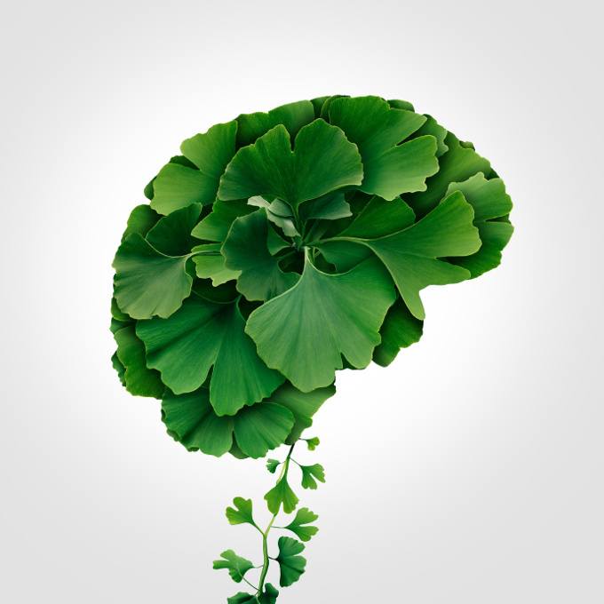 green_brain.jpg green_brain.jpg