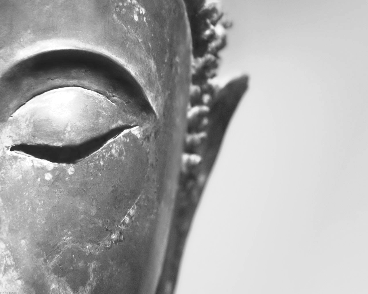 buddha-bn_sito.jpg buddha-bn_sito.jpg