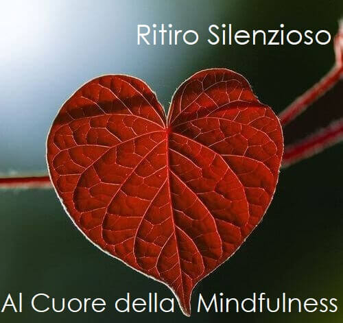 Mindfulness_Cuore_Ritiro_Silenzioso_Motus_Mundi.jpg Mindfulness_Cuore_Ritiro_Silenzioso_Motus_Mundi.jpg